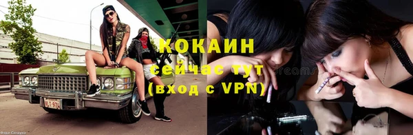 хмурый Карпинск