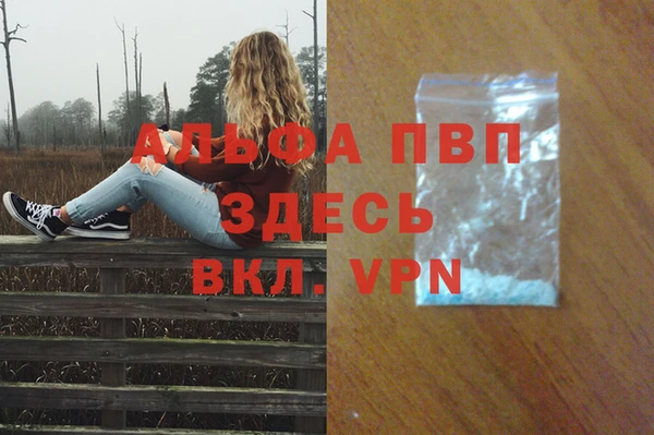 хмурый Карпинск