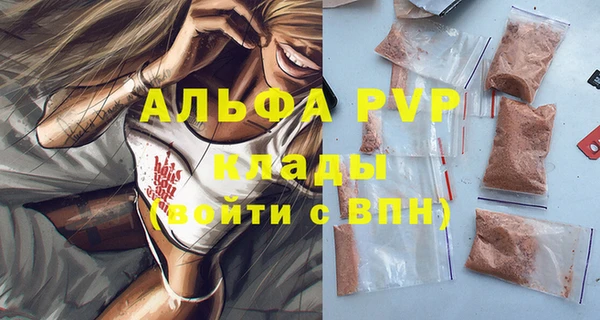 СК Касимов