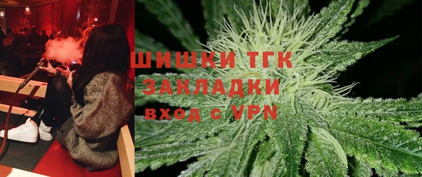 хмурый Карпинск