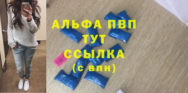СК Касимов