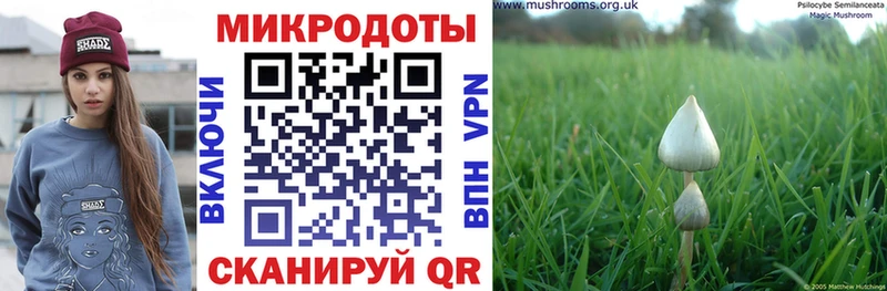 Купить  Изобильный  Псилоцибиновые грибы прущие грибы 